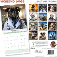 Dayplanner Hunde bei der Arbeit Kalender 2027