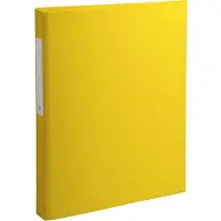 Exacompta Ringbuch