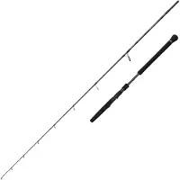 Savage Gear Defiance Sg2 Light Leichte Jiggingrute