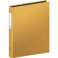 Baier & Schneider Ringbuch