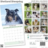 Baker & Bray Shetland-Sheepdog-Kalender 2027