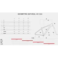 Megamo Natural 40 29´´ Acera 2026 Mountainbike
