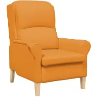 vidaXL Sessel
