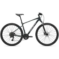 Giant Roam 2 Rdu602010 2026 Fahrrad