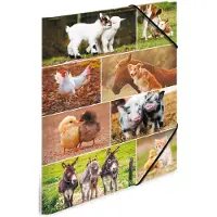 Herma Sammelmappe A3 Motiv