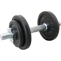 FINNLO 10kg Hantelset