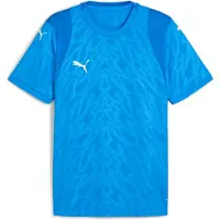 Puma Teamcup Trikot Kurzarm Herren - Royal