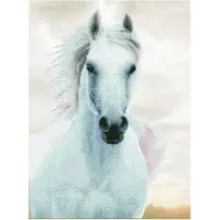 Diamond Dotz - Imperial Stallion