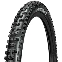 Chaoyang Reifen Rock Wolf E-bike 3-am TLR