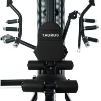 Taurus Kraftstation WS7