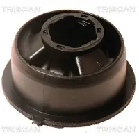 TRISCAN Lagerung, Lenker 8500 27831