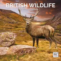 Dayplanner Britische Tierwelt Kalender 2027