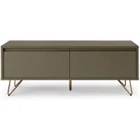 SalesFever Lowboard aus MDF | 1 Schublade und 1 Klappfach | Beine Metall mit Messinglegierung | B 120 x T 40 x H 45 cm | grau