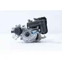 BORGWARNER Lader, Aufladung B01G 16319980063