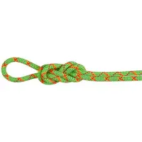 Mammut - 8.0 Alpine Core Protect Dry Rope - Halbseil Gr 70 m grün
