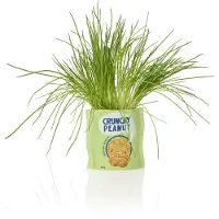 Bitten Keramikdose Crunchy Peanut Design Vase glänzend 11,5 x 7 x 12 cm