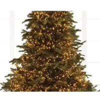 Kaemingk Lumineo Cluster Lichterkette 144 LED klassisch warm außen 1,3 m schwarz