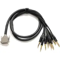 Warm Audio Prem-DB25-TRSm-20 Inch