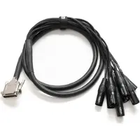 Warm Audio Prem-DB25-XLRm-10 Inch