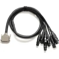 Warm Audio Prem-DB25-XLRf-10 Inch
