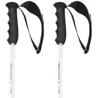 Head Worldcup Rebels Carbon Stöcke