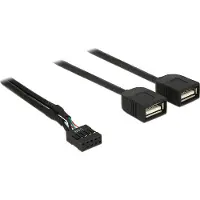 DeLOCK Kabel USB 2.0 Typ-A 2 x Buchse auf Pin Header 40 cm