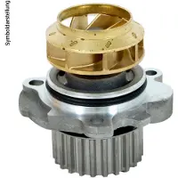 Valeo 529225 Kühlmittelpumpe Wasserpumpe mit Riemenscheibe für TOYOTA RAV 4 IV (ZSA4, ALA4) für LEXUS RX (GYL1, GGL15, AGL10)