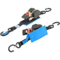 Valonic Spanngurt SG-020-230 mit Haken & Ratsche, 3m x 25mm, Zurrkraft bis 300kg, Automatik, 2 Stück
