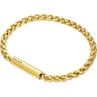 Police Temptation II Armband