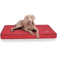 Knuffelwuff Orthopädische Hundematte Juna 1 St