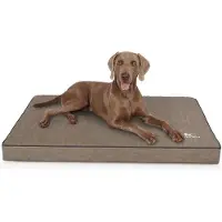 Knuffelwuff orthopädische Hundematte Palomino 1 St
