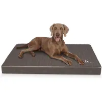 Knuffelwuff orthopädische Hundematte Palomino 1 St