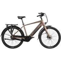 Adore E-Citybike 28" Alu Cityfahrrad CX-290 Mittelmotor 60NM / 15Ah Bronze matt 173E
