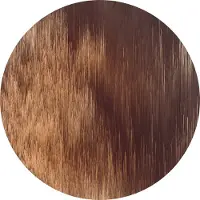 Komar Vliestapete "Vlies selbstklebend - Windlines Color - Größe 125 x 125 cm" bedruckt glatt Wohnzimmer, Schlafzimmer