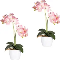 Creativ Green Kunstpflanze "Phalaenopsis"