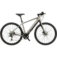 Totem Urban E-Bike Fitness 28" HWD Mittelmotor 70NM / 6,4Ah platin 318E, 319E