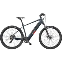 Telefunken "Aufsteiger M921" 7 Gang Shimano Kettenschaltung Heckmotor 250 W 29 Zoll, Scheibenbremsen, Pedelec, Elektrofahrrad für Damen u. Herren, MTB