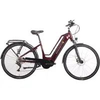 SAXONETTE "Quantum Sport" 10 Gang Shimano Kettenschaltung Mittelmotor 250 W Pedelec, Elektrofahrrad für Damen u. Herren