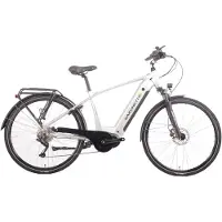 SAXONETTE E-Bike Mittelmotor mit 8 Gang Shimano Nabenschaltung StVZO Elektrofahrrad Pedelec Quantum Sport (Diamand) Rahmenhöhe 48 cm