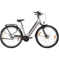 SAXONETTE Comfort plus 5.0 , ebike , 418 Wh Intube-Akku große Reichweite für den Alltag, E-Bike, Elektrofahrrad (Ramenhöhe 45 , Silver)