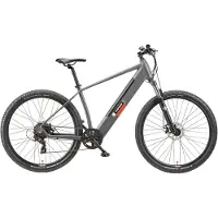 Telefunken "E-MTB Aufsteiger M919" 7 Gang Shimano Tourney Schaltwerk Kettenschaltung Heckmotor 250 W Pedelec, Elektrofahrrad, Damen u. Herren, E-MTB, Mountainbike, 29 Zoll