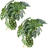 Creativ Green Kunstpflanze "Monstera adesonii" mit naturgetreuem Blattwerk