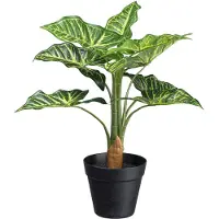 Creativ Green Künstliche Zimmerpflanze "Syngonium" mit 10 Blättern