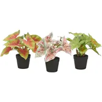 Creativ Green Künstliche Zimmerpflanze "Blattpflanzen Mini" mit schönen Blattfarben