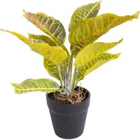 Botanic-Haus Künstliche Zimmerpflanze "Croton"