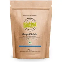 Biotiva Chaga Pilz Pulver Bio 125 g