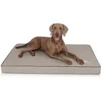 Knuffelwuff orthopädische Hundematte Palomino 1 St
