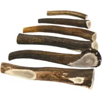 Brekz Snacks - Antler für Hunde
