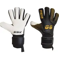 Gisix Effect 25 Base model