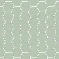 Superfresco Vliestapete "Honigwabe - Geo" geometrisch geprägt Grün - 10m x 52cm
